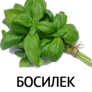 Босилек