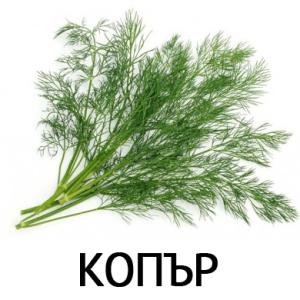 Копър