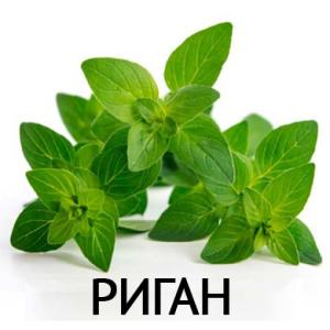 Риган