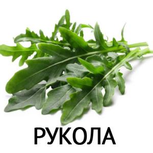 Рукола