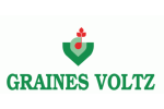 Graines Voltz