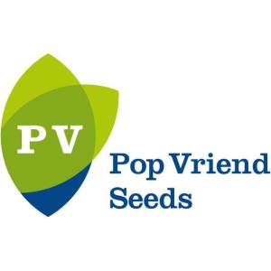 Pop Vriend Seeds