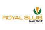 royal sluis