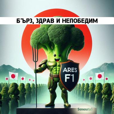 Сертифицирани семена за Броколи Арес ( Ares F1 ) на ниска цена !