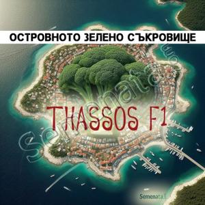 Сертифицирани семена за Броколи Тасос ( Thassos F1 ) на ниска цена !