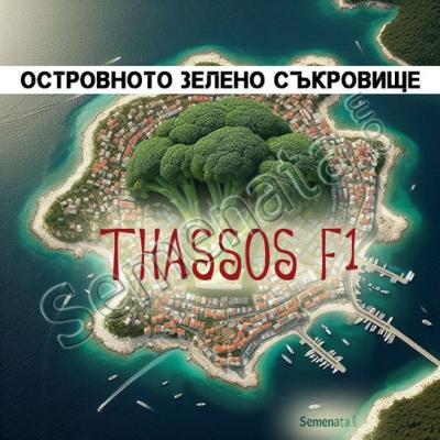 Сертифицирани семена за Броколи Тасос ( Thassos F1 ) на ниска цена !