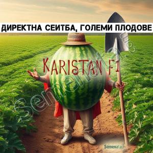 Сертифицирани семена за диня Каристан / Karistan F1 - дини ниски цени