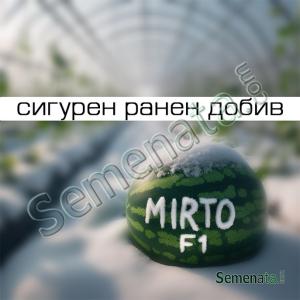 Сертифицирани семена за диня Мирто / Mirto F1 - дини ниски цени