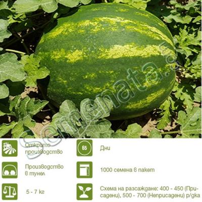 Семена за диня Роман ( Roman )