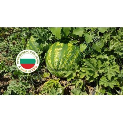 Семена за диня Роман ( Roman )