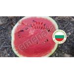 Семена за диня Роман ( Roman )
