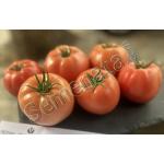 Сертифицирани семена за розови домати RSM 22704 F1 добра цена