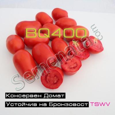 Консервни Домати BQ400 ( устойчив на бронзовост ) ниска цена !