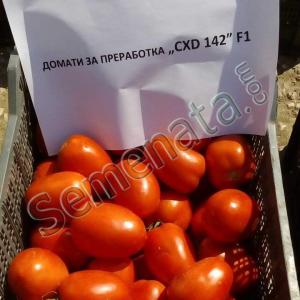 CXD_142