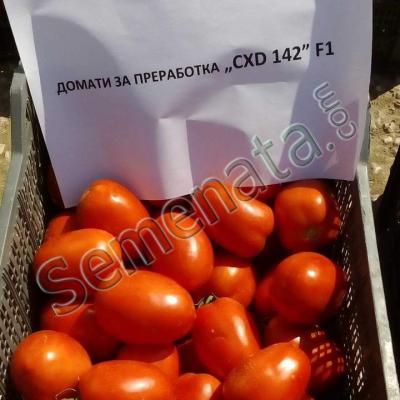 CXD_142 