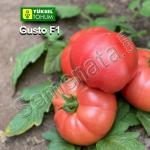 Розови Домати Густо Пинк ( Gusto Pink )