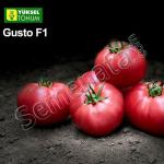 Розови Домати Густо Пинк ( Gusto Pink )