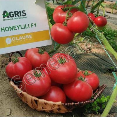 Семена розови домати Хъни Лили Honeylili F1 - Ниски цени !