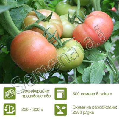 Розови домати Манекро (Manecro)