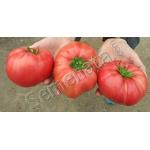 Сертифицирани семена за розови домати Мулти Пембе F1 / Multi Pembe F1 / добра цена