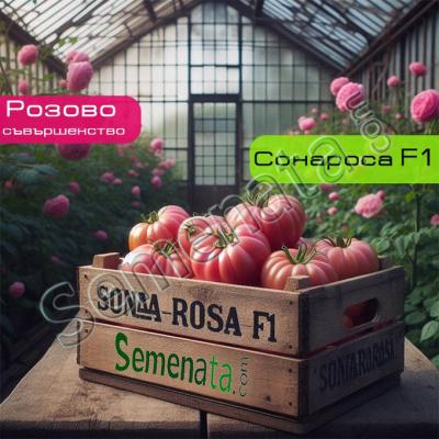 Сертифицирани семена за розови Домати Сонароса ( Sonarosa F1 ) Ниска Цена !
