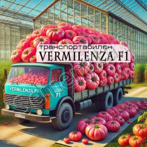 Сертифицирани семена за розови домати Вермиленза / Vermilenza F1 супер цена Сертифицирани семена за розови домати Вермиленза / Vermilenza F1 супер цена