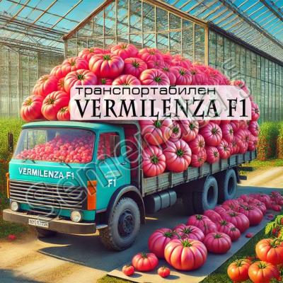 Сертифицирани семена за розови домати Вермиленза / Vermilenza F1 супер цена
