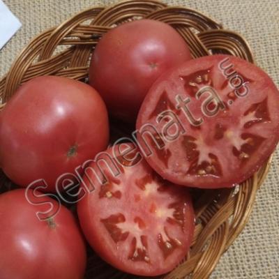 Розови домати Антелайзи ( Antelaisi )
