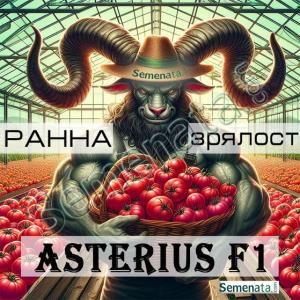 Сертифицирани семена за розови домати Астериус / Asterius F1 супер цена