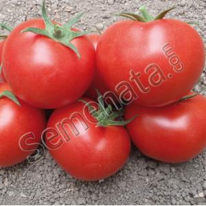 Семена домати Берно (Berno) Семена домати Берно (Berno)