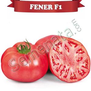 Розови Домати Фенер ( Fener F1 ) Ниска Цена ! Розови Домати Фенер ( Fener F1 ) Ниска Цена !