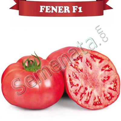 Розови Домати Фенер ( Fener F1 ) Ниска Цена !