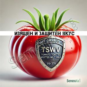 Сертифицирани семена за домати НОВОТО Грандо F1 / Grando F1 TSWV Сертифицирани семена за домати НОВОТО Грандо F1 / Grando F1 TSWV