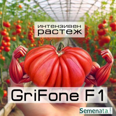 Сертифицирани семена за червени домати Грифон ( Grifone ) супер цена!