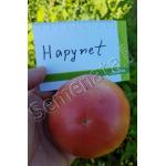 Розови домати Хепинет (Hapynet)