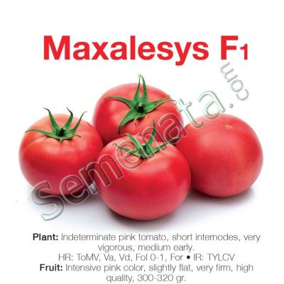 Розови Домати Максалезис ( Maxalesys ) Ниска Цена !