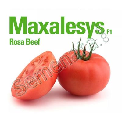 Розови Домати Максалезис ( Maxalesys ) Ниска Цена !