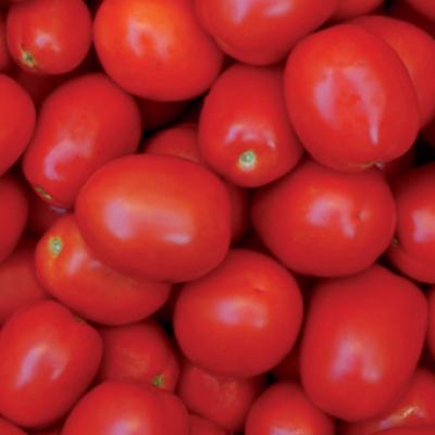 Консервни Домати Пиетра Роса ( Pietra Rossa )