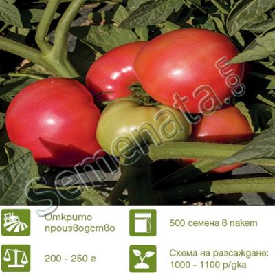Розови домати Пинк а Лишъс ( Pink a Licious )