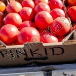 Сертифицирани семена за розов домат Пинк ИД F1 / Pink ID F1 от Seminis на ниска цена