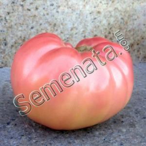 Семена за розови домати Роял Пинк ( Royal Pink ) Семена за розови домати Роял Пинк ( Royal Pink )