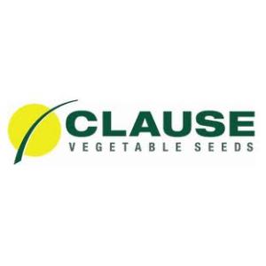 Clause