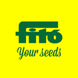 Fito