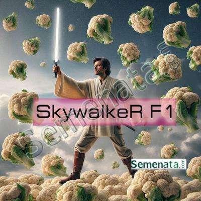 Семена за карфиол Скайуокър ( Skywalker F1 ) добра цена
