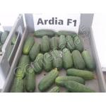 Ардиа (Ardia)