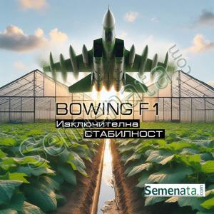 Семена за краставици Боуинг ( Bowing F1 ) на ниски цени!