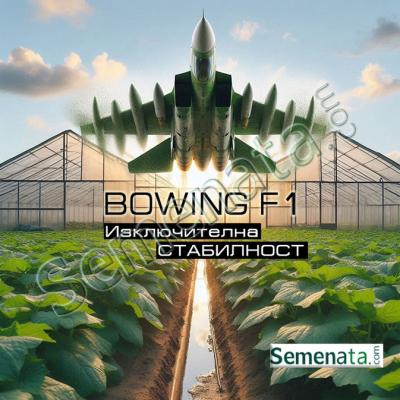 Семена за краставици Боуинг ( Bowing F1 ) на ниски цени!