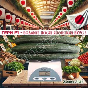 Сертифицирани семена за краставици Гери / Geri F1 / TSX CU235 от Токита / Tokita