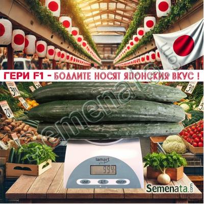 Сертифицирани семена за краставици Гери / Geri F1 / TSX CU235 от Токита / Tokita