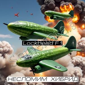 Семена за Хибрид Краставици Локхийд ( Lockheed ) Топ Цена ! Семена за Хибрид Краставици Локхийд ( Lockheed ) Топ Цена !